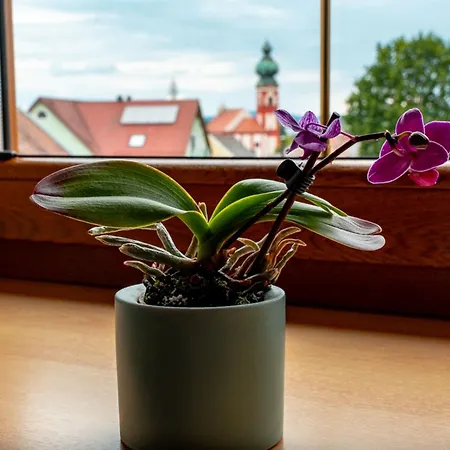 Eslarner Zoiglstum Beim Strehern