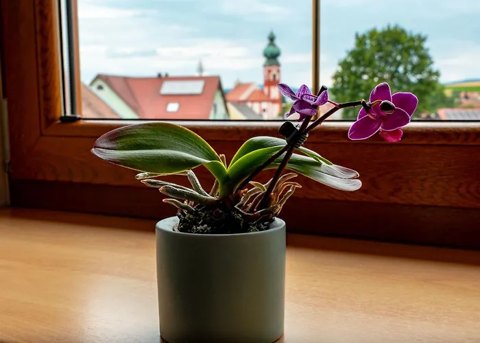 Eslarner Zoiglstum Beim Strehern
